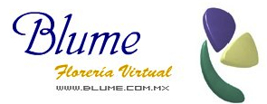 blume.com.mx
